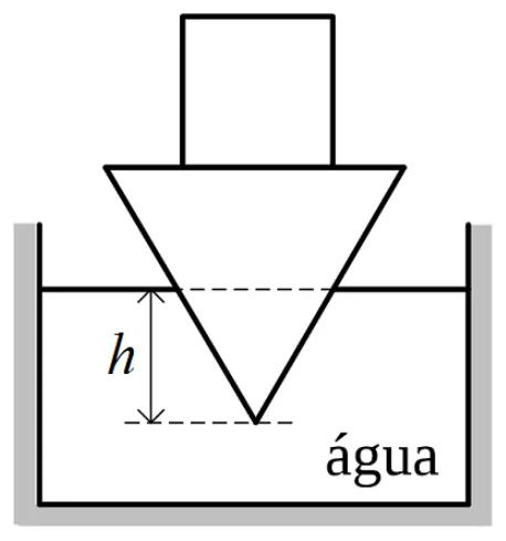 Figura da questão