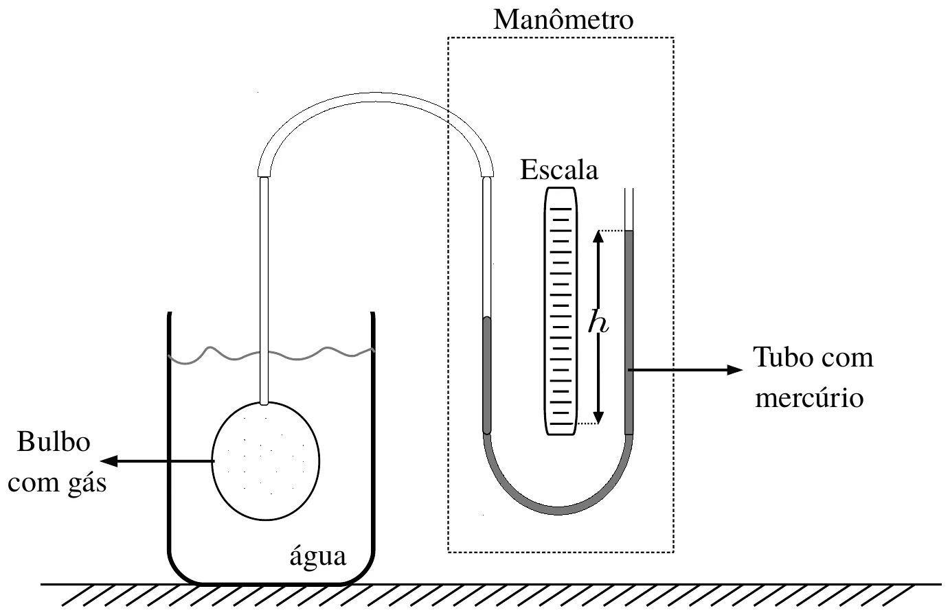 Figura da questão