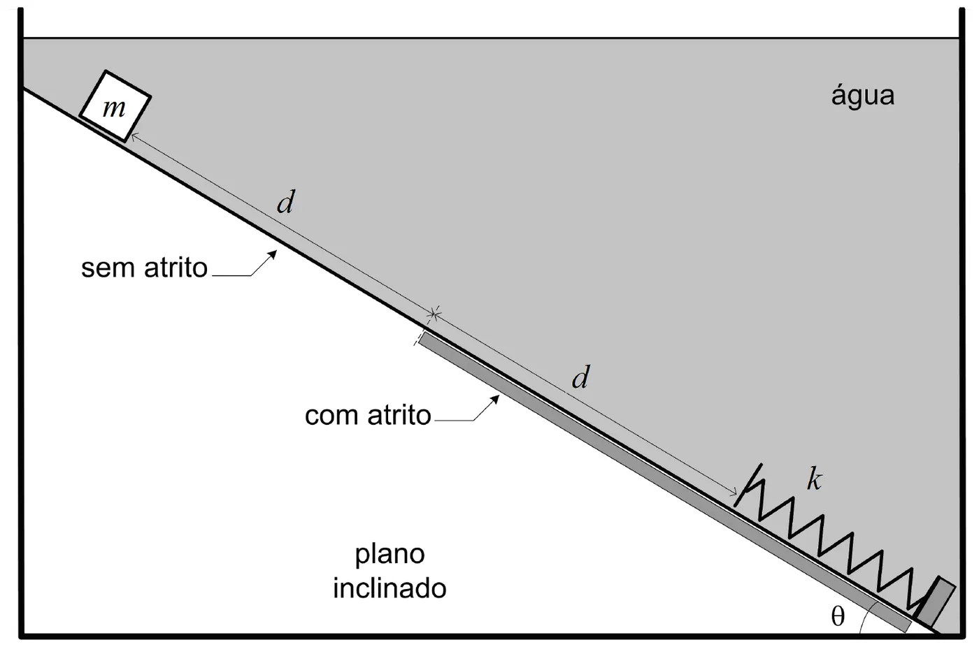 Figura da questão