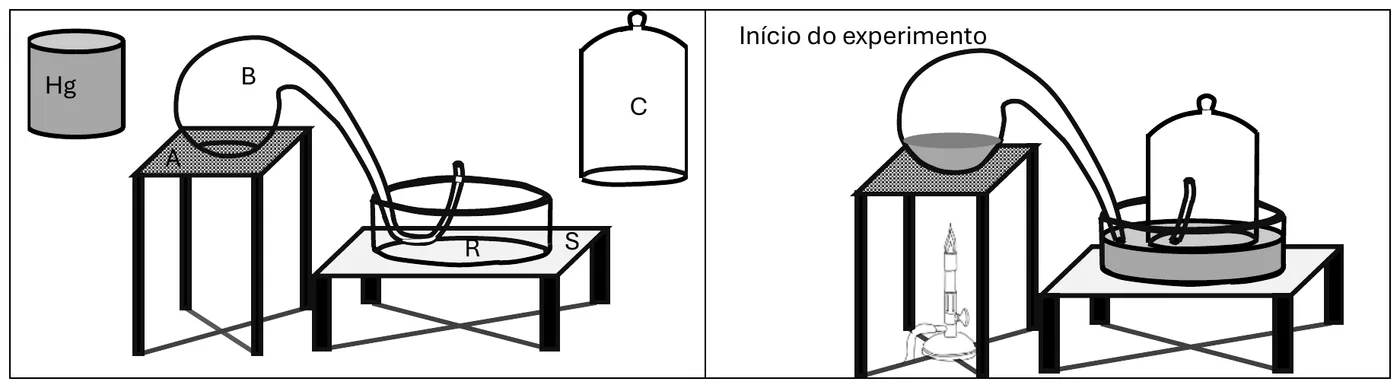 Figura da questão