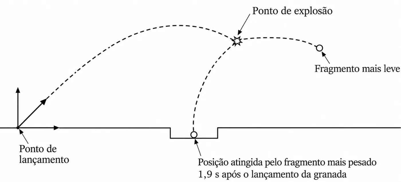 Figura da questão